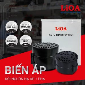 bien-ap-doi-dien-110v-sang-220v