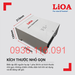 doi-nguon-3000va-bien-ap-tu-ngau-1-pha-3000va-chinh-hang-new-100